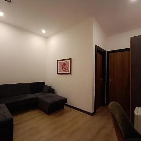 Comfy Lara Hotel